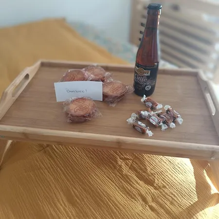 La Pause Bretonne Apartment